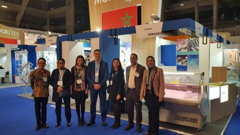A distinguished participation of Morocco at the international seafood trade fair « Seafood Expo Global » (SEG 19)