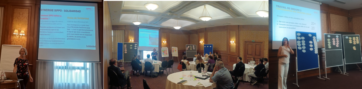 Fostering Sustainability: BSOs contribution !!
