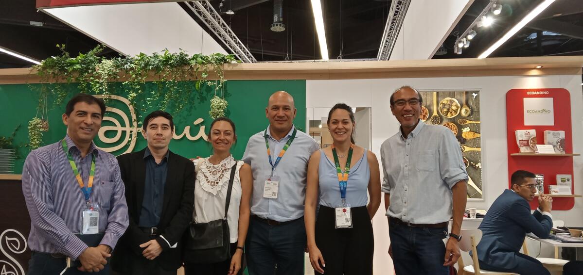 Strengthening Peruvian BSOs